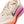 Women's Pegasus Premium