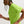 Person wearing a bright green athletic shirt on a plain background