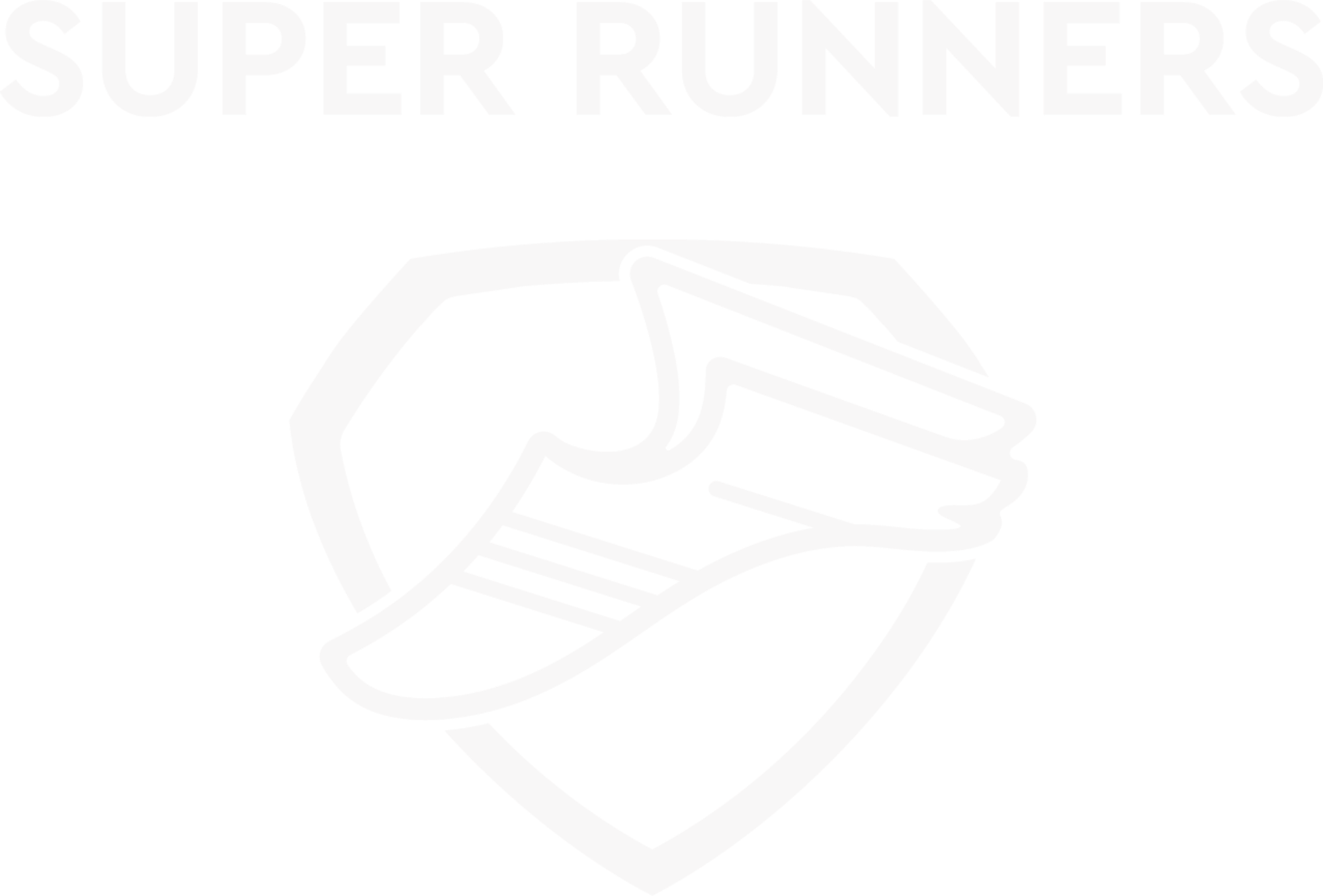 Super Runner Logo which is a sneaker with wings inside a shield