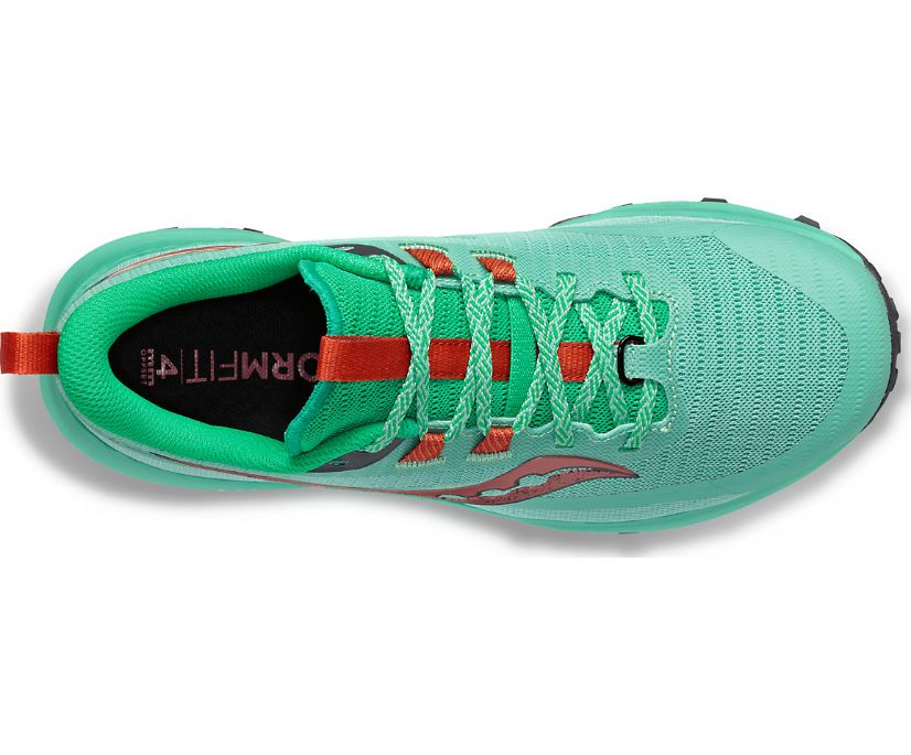 Top view of the Women's Peregrine 13 trail runner in the color Sprig/Canopy